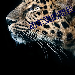 动车里的苟且 一槌定音）