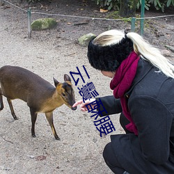 云鬟酥腰