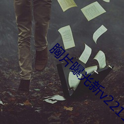 胸片(piàn)曝光新(xīn)v2211.14.35