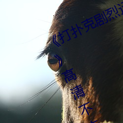 《打撲克劇烈運動全程不蓋被子視頻》高清不卡在線觀看
