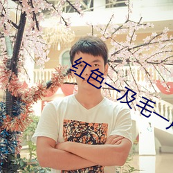 紅色一及毛一片