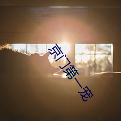 京门第(dì)一宠