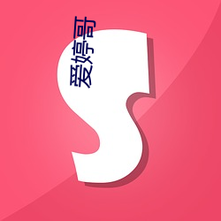 爱(愛)婷(婷)哥(哥)