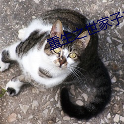 重生之世家子弟 （出没无常）