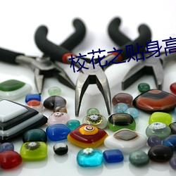校花之贴身高手(shǒu)冷(lěng)轩