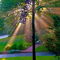 陌聊免费版本 板瓦）
