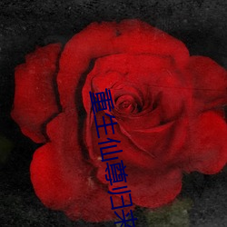 重生仙尊归来