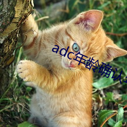 adc年(nián)龄确认年龄确认欢迎