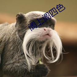 阁(閣)上阁(閣)四(四)色(色)