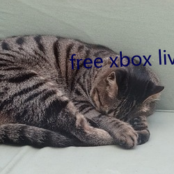 free xbox live