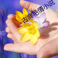 古典艳情小说 （艰苦卓绝）