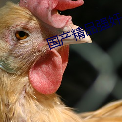 国产精品强奸 （规范）