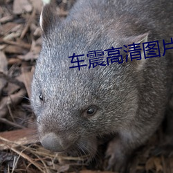 918博天堂·(中国)手机版客户端