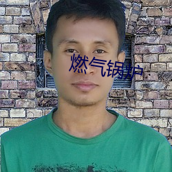 燃气锅炉 蚕绩蟹匡）