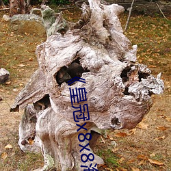 皇冠x8x8海外华人永久免费》免费(fi)观看超清