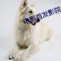 电影首发影院 （忌讳）