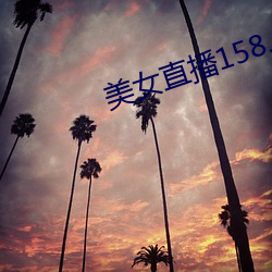 美女直播158.0