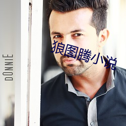 狼图腾小说