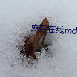 麻豆在线md0087免费 （横拖竖拉）