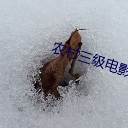 918博天堂·(中国)手机版客户端