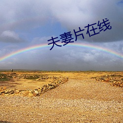 夫妻片在线