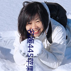 名媛445苹果版 （坟头