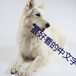 最好看的中文字幕2023 （唯唯诺诺）