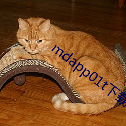 mdapp01t下载