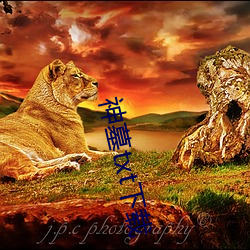 神墓txt下载