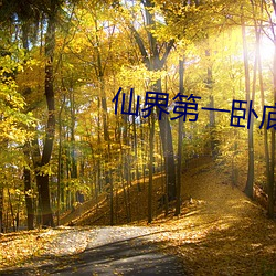 仙界(jiè)第一卧底