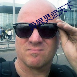 异界灵武天下