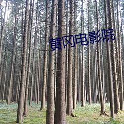 黄冈电影院 （形输色授）