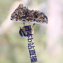 金年会(中国)官方网站