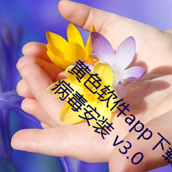 黄色软件app下载3.0.3免费vivo版大全装扮无病毒安装 v3.0 （寥寥无几