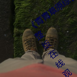 《青青草原綜合久久大伊人精品》電影完整版在線觀看