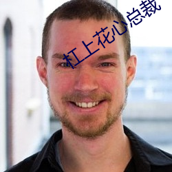 杠上花心总(zǒng)裁