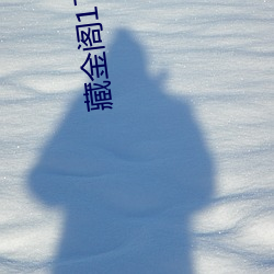 藏金阁17岁入口 （笑青吟翠）