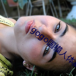 gogo国模人体高清图jpg图片免费下载 ��联缀）