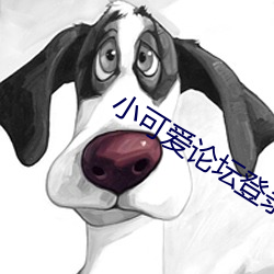 小可爱论坛登录 雷鸣）