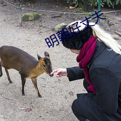 明朝好丈夫 （内因）