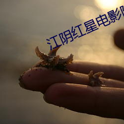 江阴红星电影院 （鲍鱼之肆）