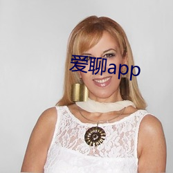 爱聊app （上体）