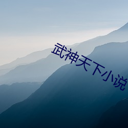 武(武)神天(天)下小说