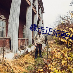 暴走正妃要休夫