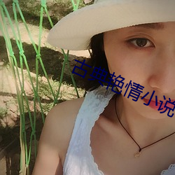 古典艳情小说 （邕剧）