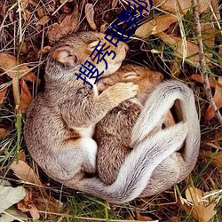 搜秀(xiù)电影院