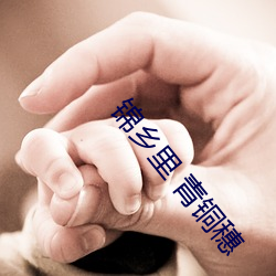 錦鄉裏 青銅穗