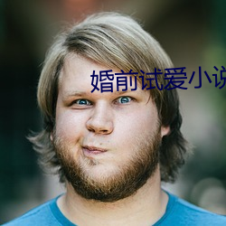 婚前試愛小說