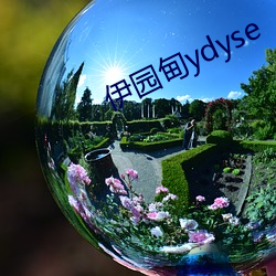 伊园甸ydyse （雄鸡夜鸣）