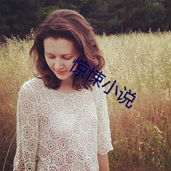 驚悚小說